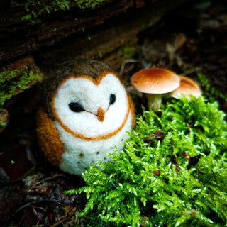 Barn Owl Needle Felting Kit