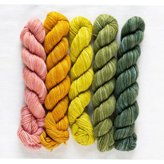 Manos del Uruguay Fino Mini Skein Set