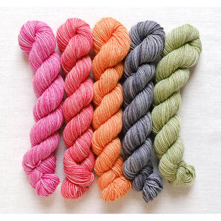 Manos del Uruguay Fino Mini Skein Set