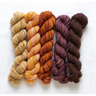 Manos del Uruguay Fino Mini Skein Set