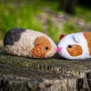 Guinea Pigs Needle Felting Kit